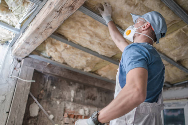 Best Energy Efficiency Solutions in Senatobia, MS